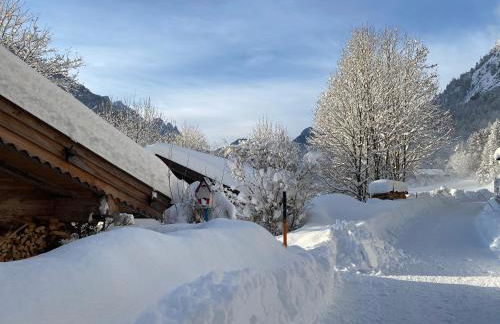 Nickis Bergcamp - Foto 71