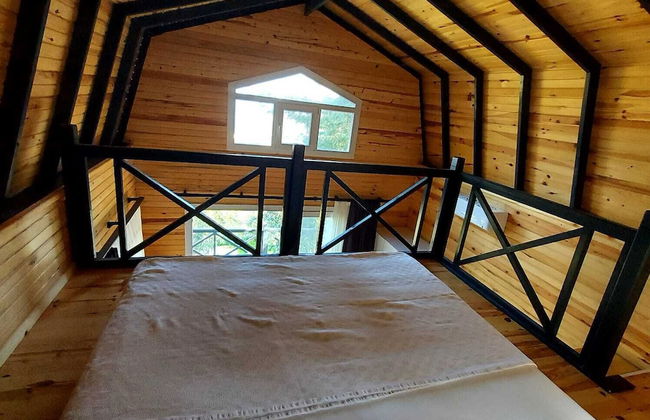 Sole Foca ( Ages 12+ ) - Foto 2