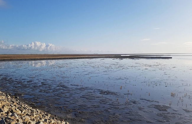 Exklusiv Eingerichtetes Ferienhaus in Strandnahe - Foto 26