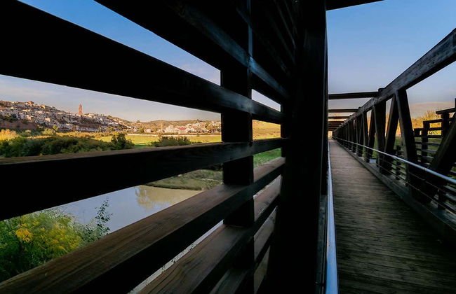 Senderismo por los meandros del Guadalquivir - Foto 3