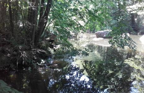 Moulin de Record - Foto 15