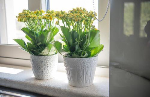 Fotini's House - Foto 11