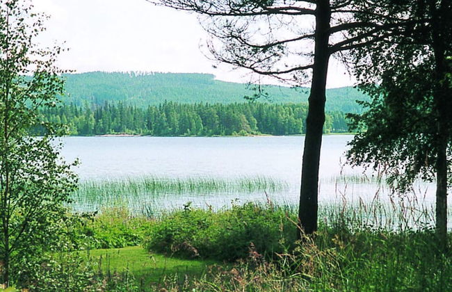 6 Person Holiday Home in Torsby-by Traum - Foto 17