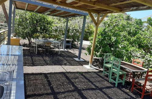 Finca Oasis Holidays & Health - Apartamentos con Rooftop Terrace - Foto 48