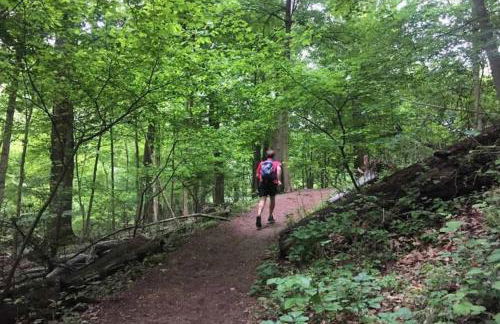 Huge Studio w Full Kitchen W D Parking - Foto 10