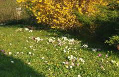 Chez Grand Maman - Foto 27