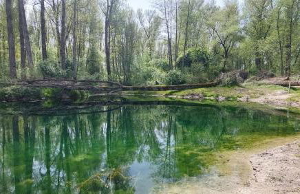 Helle, lichtdurchflutete Ferienwohnung im Herzen des Bayerischen Waldes, Nationalparknähe - Foto 42