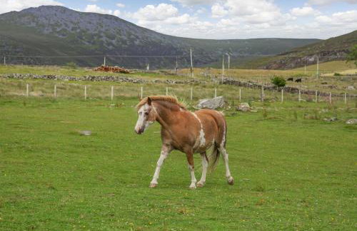 Ffynnon Bach - Foto 42