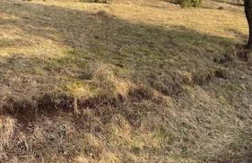 Ferienwohnung Zum Märchenwald - Foto 23