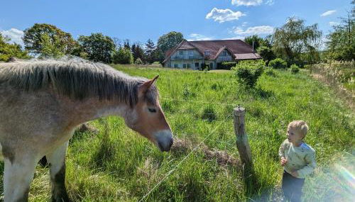 Landhaus Fischersruh Plauer See - Foto 2