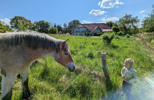 Landhaus Fischersruh Plauer See - Foto 2
