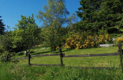 Ferienhaus ROSENHOF Vulkaneifel - Foto 29