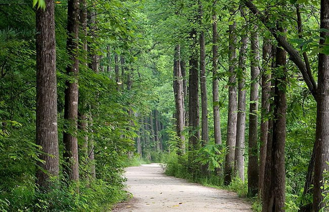 GoChang Well Park City Healing County - Photo 53