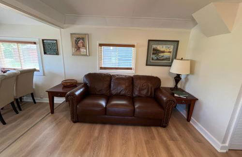 The little blue jay - Foto 11