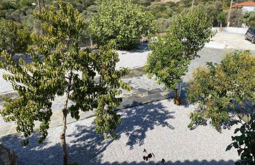 Villa Karras - Photo 43