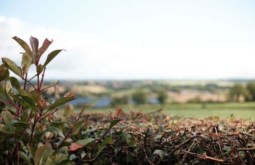 Drumnavaddy Cottage Banbridge, Dromore, County Down - Foto 8