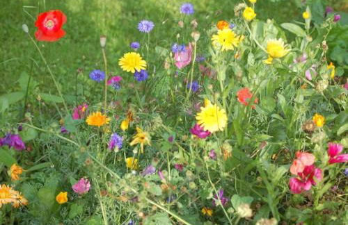 Apartment FeWo Nr 1 Harztor by Interhome - Foto 15