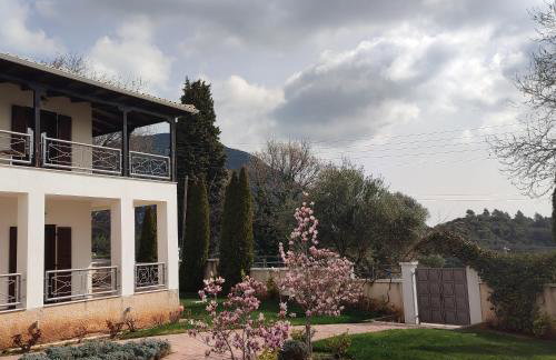 Guesthouse Michobeis - Foto 41