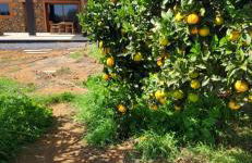 Isora - La Retrinca - Foto 14