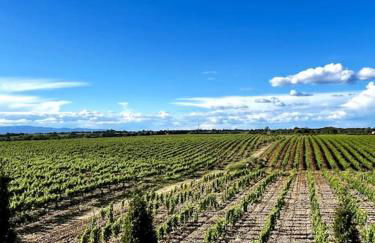 Maison au coeur des vignes - Foto 6