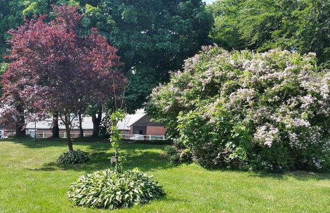 Billund Farm Holiday - Photo 45