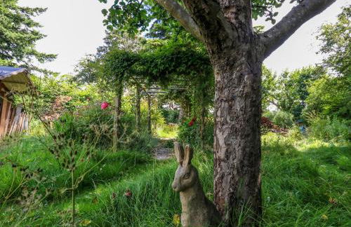 Little Timbers - Foto 41