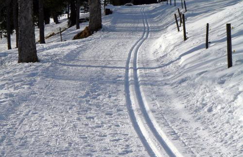 Ferienwohnung Bergahorn - Foto 13