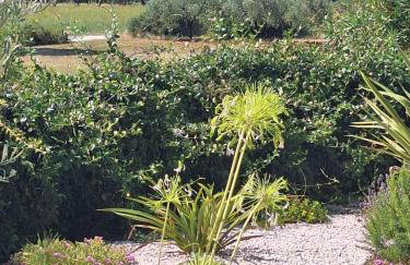 Casa dell ´amore - Foto 43