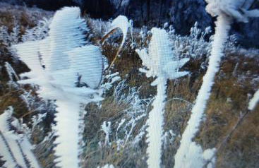 Landmanns Home - Foto 10