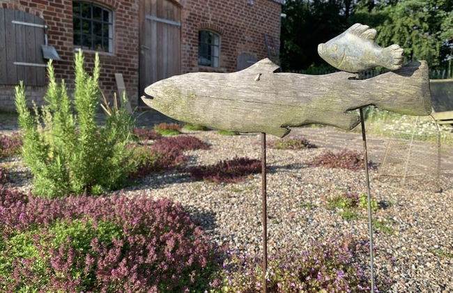 Holiday Apartment Sternhoh - Photo 17