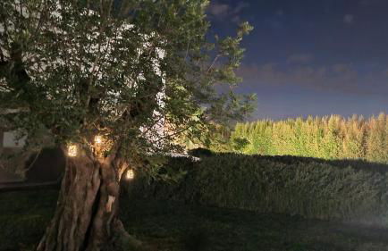 I MESTRI Holiday Homes - Foto 37