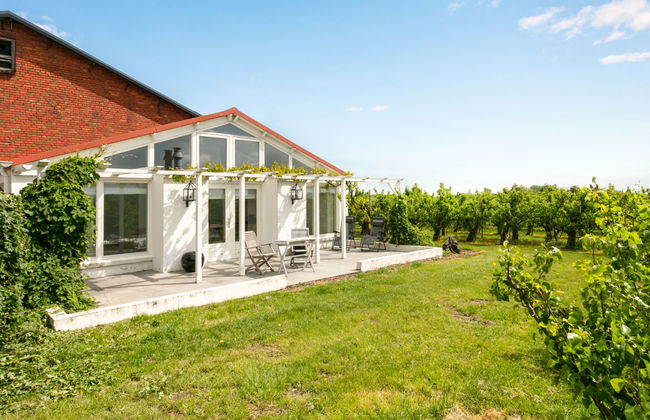 1 bedroom House in Zaamslag with garden and terrace - Photo 13