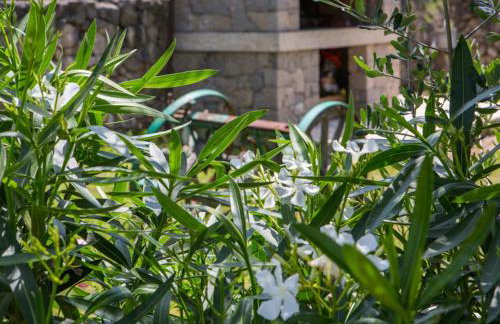 Villa Boljuncica - Foto 36