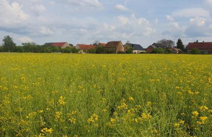 Silence Villa - Foto 24