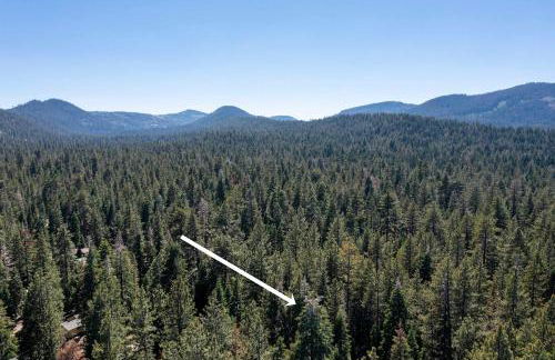 Alpine Gem Near Homewood Mountain! - Foto 45