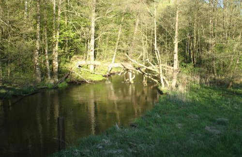 W Pelniku - Photo 64