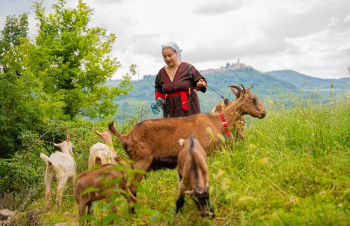 Holiday Home Belveder Motovun with heated pool - Foto 80