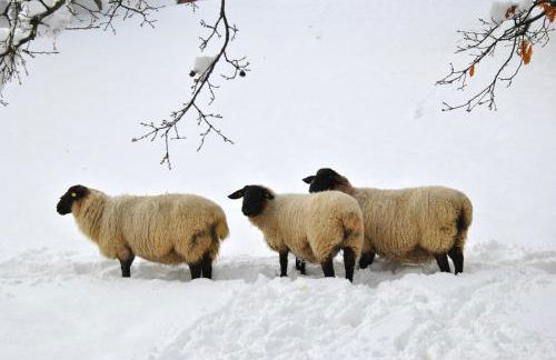 CASA AL MIGLIO - Foto 56