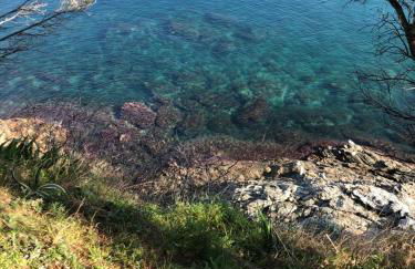 Llançà piso muy tranquillo Llança appartement très tranquille Llançà flat very calm - Foto 31