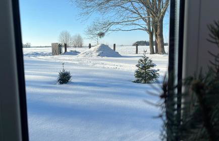 Brzozowy Zakątek - Foto 49