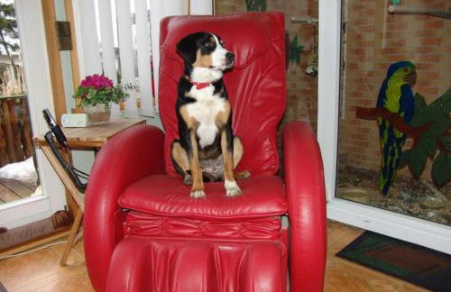 Apartment Spree Idyll by Interhome - Foto 15