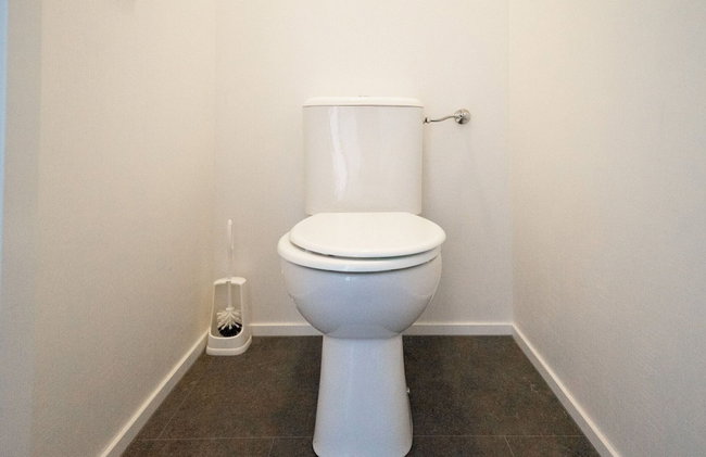 Modern Chalet Near De Veluwe National Park - Foto 10