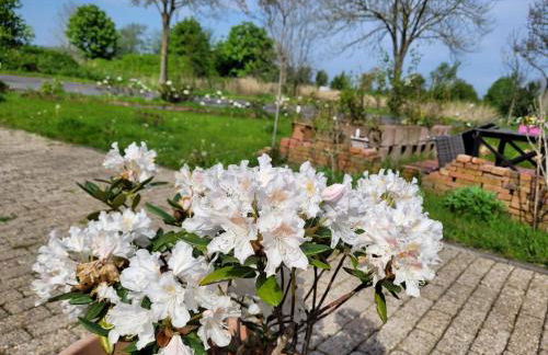 Gulfhof Anelis - Foto 4