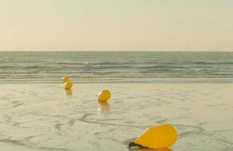 T2 Nid Serein, jardin, calme, proche centre-ville, port, plages - Photo 15