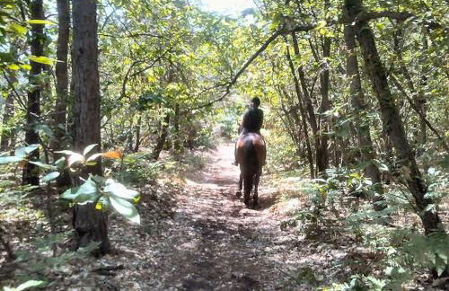 La Casa nel Verde - Foto 20