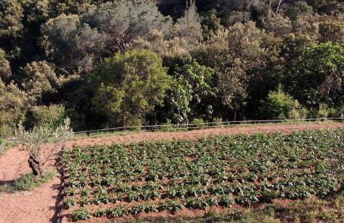 Cottage Eco-Friendly Barcelona country side - Foto 18