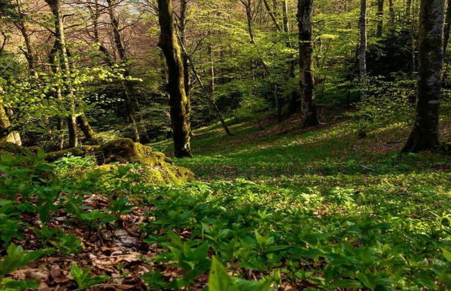 Welcoming Mobile Home in Toscana With Garden - Photo 34