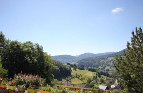 Maison familiale à Orbey, 3 chambres, parking privé, espace vert, jeux pour enfants - FR-1-744-26 - Foto 12