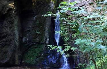 Wohnen direkt an Mosel und Goldbach - Foto 26