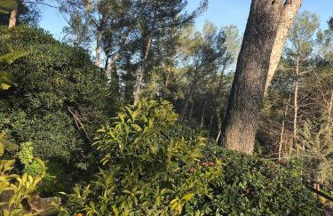 Independent studio st Clement of rivers 5 mn montpellier - Foto 11